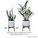 Plant Stands Indoor | Mid Century Modern Indoor Plant Stand | Adjustable Width 9″ to 12″ (Planter Pot NOT Included)| Natural, Brown, Black Bamboo Wood | Low Pots Holders | Small Planters Holderthumb 4