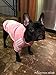 Idepet Soft Cotton Adidog Cloth for Dog, S, Pink