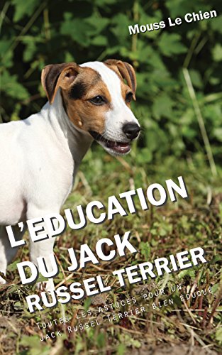 Leducation Du Jack Russel Terrier Toutes Les Astuces Pour