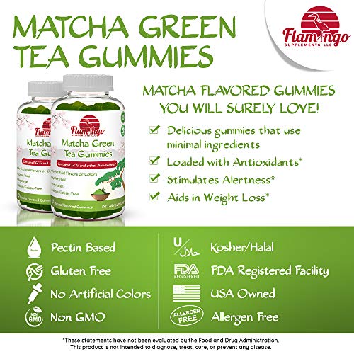 Matcha Green Tea Extract Gummy Vitamin with EGCG. Energy Gummies