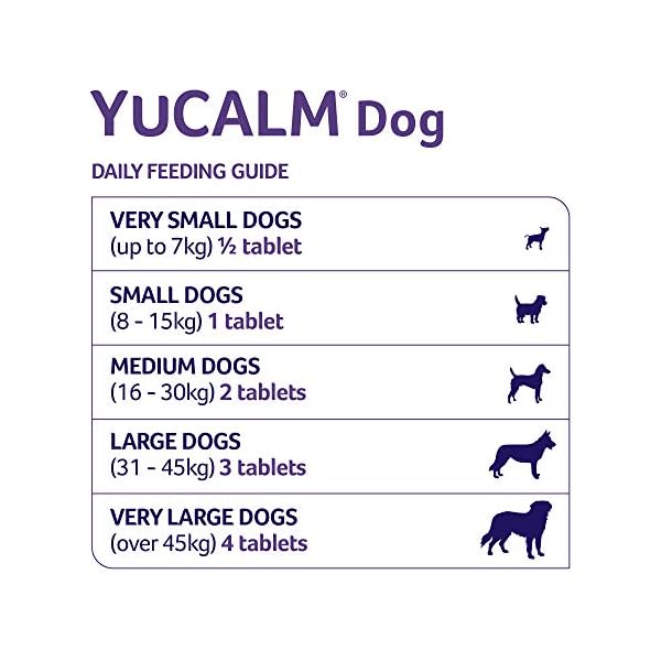 Lintbells-YuCALM-Dog-Calming-Supplement-for-Dogs-who-are-Stressed-or-Nervous-All-Ages-and-Breeds-60-Tablets YuMOVE Calming Care for Adult Dogs | Previously YuCALM Dog | Calming Supplement for Dogs who are Stressed or Nervous |60…