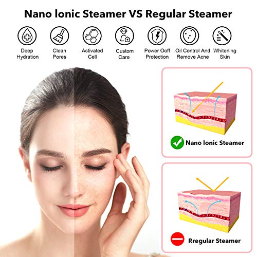 Portable Facial Steamer Nano Face Steamer Warm Mist Home Skin Spa