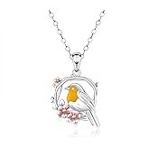 Robin Bird Neckalcce for Women - 925 Sterling Silver Gifts for Bird Lovers Pet Memorial Jewelry Cute Robin Pendant Dainty Animal Necklaces with Flowers