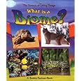 What Is a Biome? (The Science of Living Things)