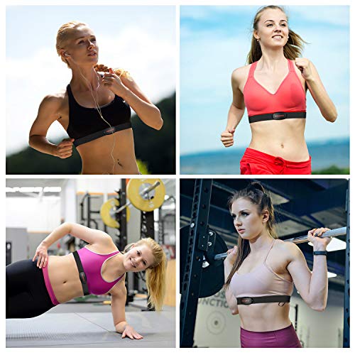 dash heart rate monitor chest strap