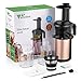 Juicer Amzdeal Slow Juicer Masticating Juicer Machine Cold Press Juicer For High Nutritional Fruits and Vegetables Juice, Easy to Clean, Quiet Motor & Reverse Function, BPA Free, 200w