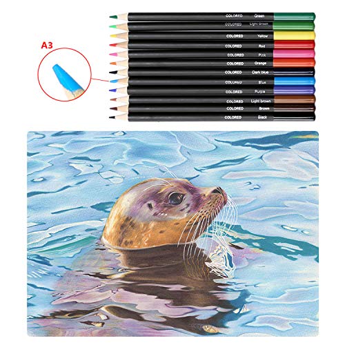 K Kwokker 71 Pieces Sketching Drawing Art Set Professional Sketch Pencils Marker Kit, 12 Graphite Pencils, 12 Watercolor Pencils, 12 Colored Pencils, 12 Metallic Pencils, 12 Charcoal Pencils, 3 Stumps
