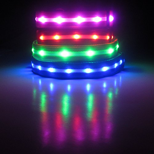 Blazin' Safety LED Dog Leash USB Rechargeable Flashing Light, 4 Ft