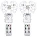 DecorNova Globe String Lights, 16.4 Feet 50 LED Battery Operated Fairy Lights with 3 AA Battery Case, Remote & 8 Modes for Christmas Party Bedroom Wedding Decorations, Warm White (Set of 2)