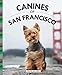 Canines of San Francisco by 