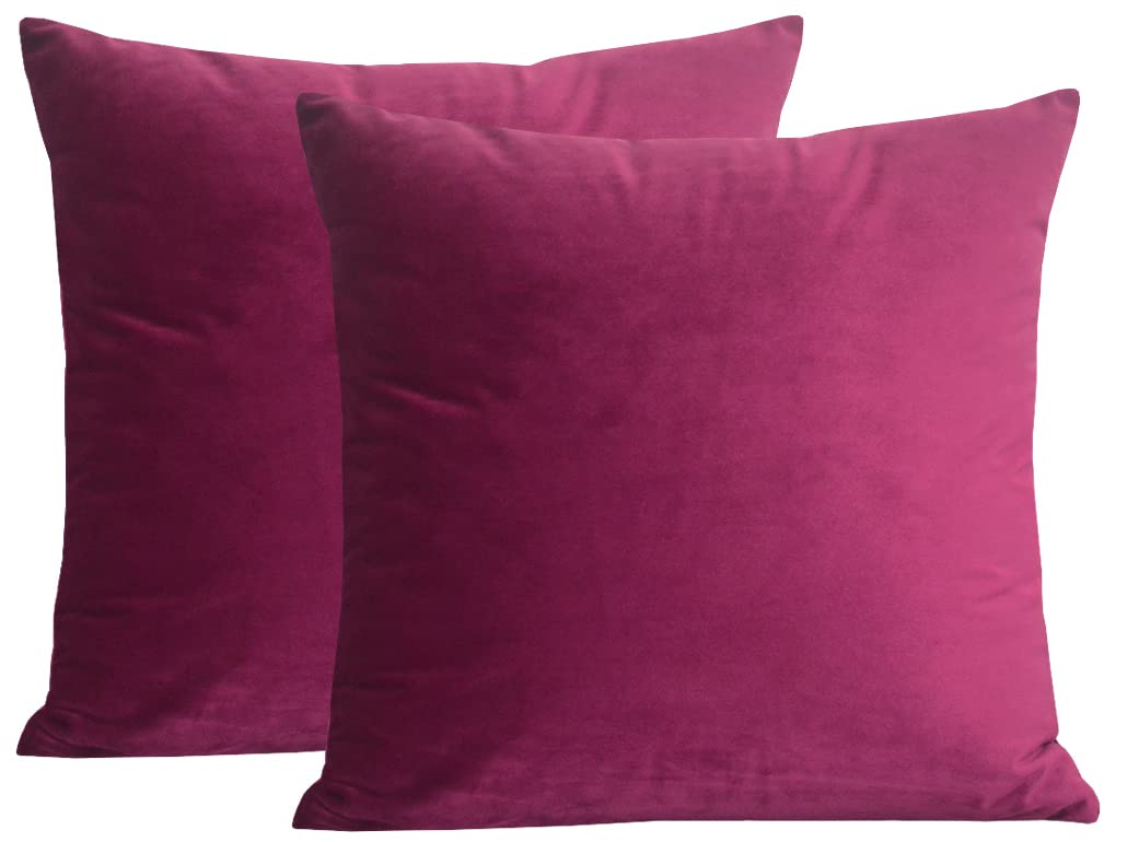 Lutanky Velvet Soft Throw Pillow Case Decorative Square Cushion Covers for Sofa Bedroom Living Room 20" X 20" （50 x 50 cm） Set of 2 Wine Red