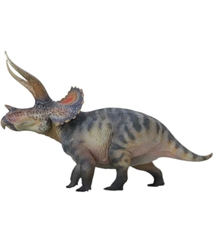ビカクシダ P.Triceratops 三角龍（pup） ビカクシダ P.Triceratops 三角龍（pup） - メルカリ
