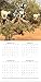 2018 Goats in Trees Calendar - 12 x 12 Wall Calendar - With 210 Calendar Stickers