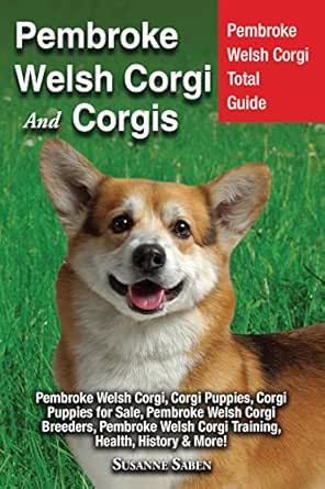 welsh corgi breeders