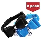 BINGPET 2Pcs Breakaway Bowtie Cat Collar with Bell Blue & Black