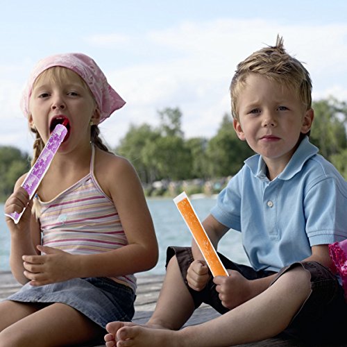 1 EXSPORT+Bags+Popsicle+Molds+Approved