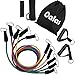 Oalas Resistance Band Set with Door Anchor, Ankle Strap, Exercise Chart & Resistance Band Carrying Case