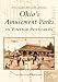 Ohio's Amusement Parks in Vintage Postcards (OH) (Postcard History Series) by David W. Francis, Diane Demali Francis