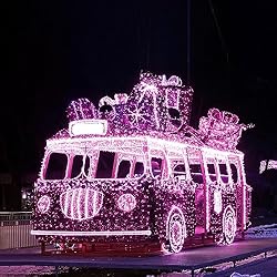 suddus Pink Fairy Lights Battery Operated Outdoor