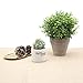 Velener Artificial Grass Faux Plants Indoor - Square Topiary Small Fake Plant for Home Decor Indoor Window Sill Plant Shelf Desk Decorations for Women Office Cubicle Sage Green Bathroom Accessories