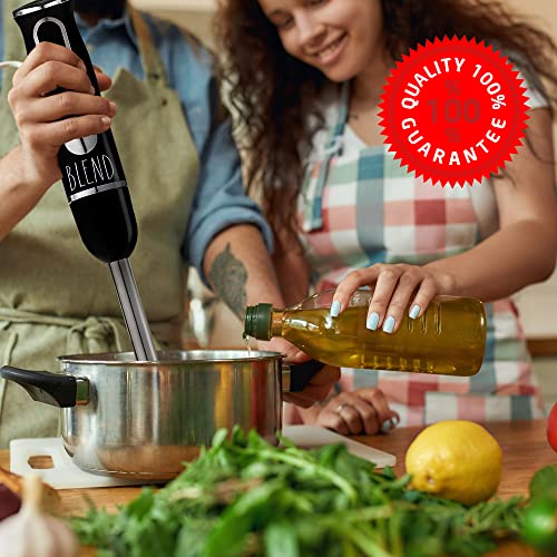 Rae Dunn Immersion Hand Blender Handheld Immersion Blender with Egg