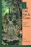 By Oak, Ash, & Thorn: Modern Celtic Shamanism (Llewellyn's Celtic Wisdom) by D.J. Conway