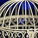 Shindigz Indoor/Outdoor Decorative Bird Cage Latern Centerpiece-Ivory