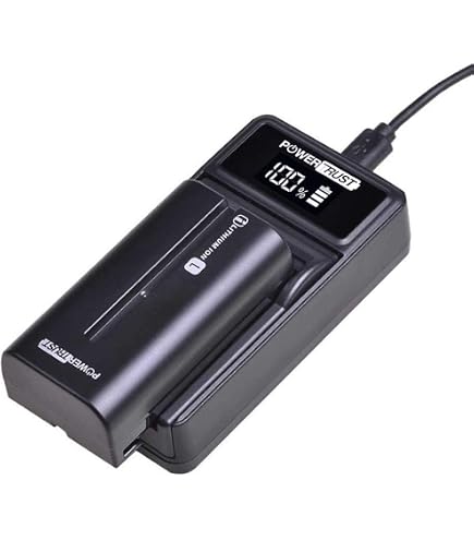 2 Batterie Li-Ion 2250mAh + Caricabatterie USB Slim Per Sony Mavica (MVC-FD90, FD91, FD92) - NP-F550 Compatibile