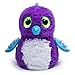 Hatchimals Draggle - Purple/Blue