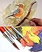 16 Piece Large Flat Tip Paint Brushes Hog Bristle Tempera and Artist Paint Brushes for Kids with Short Stubby Plastic Handle-Assorted Colors