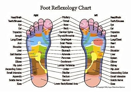 Chinese Reflexology