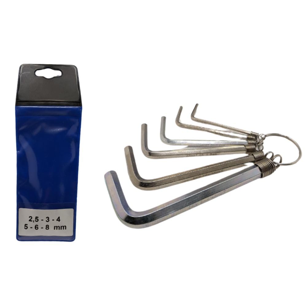 ARNDT Germany Security Hex Key Set 2.5mm-8mm (6PCS) | Double Holes Security Allen Keys | Tamper Proof Hex Key Set | Chromium Vanadium Zinc Plated Steel