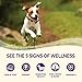 Wellness Complete Health Dry Dog Food, Small Breed, Grain Free, Natural, Turkey, Chicken, & Salmon Recipe (11-Pound Bag)