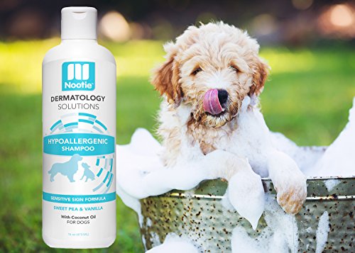 Nootie Hypoallergenic Shampoo for Dogs -Hypoallergenic Dog Shampoo Plus Conditioner For Pets With Allergies And Sensitive Itchy Dry Skin 16oz - Thumbnail 4