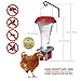 Roamwild Rat Proof Chicken Feeder kit - Rat Proof Poultry Feeder – Weather Proof - 8lbs Capacity - NEW PRODUCT