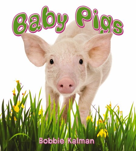 Baby Pigs (It's Fun to Learn about Baby Animals (Paperback))