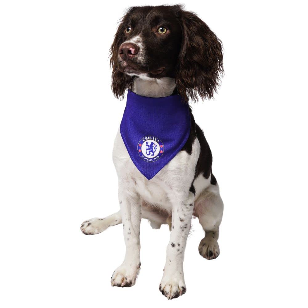 Dogsy Officially Licensed Chelsea Football Design Dog Bandana - Chelsea FC Dog Accessory | Fits Small, Medium, Large Dogs or Cats