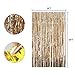UTOPP 2 Pack Foil Fringe Curtains Photo Backdrop Party Decorations, 3ft x 8 ft Shiny Metallic Tinsel Party Door Curtain Photo Booth Props for Birthday Wedding Party Decor (gold champagne)