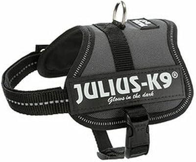 Julius-K9 Powerharness 3XS Baby Anthracite Chest 29-36 cm 0.8-3 kg