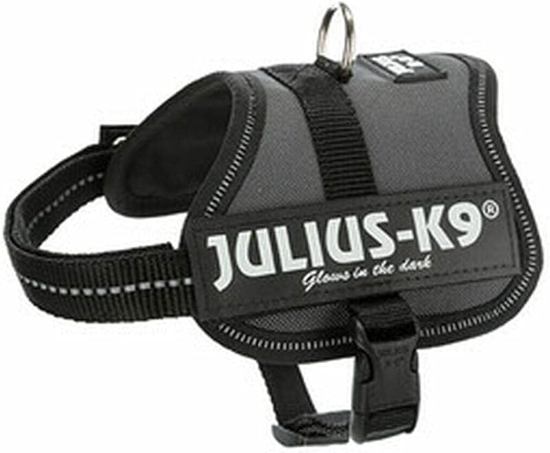 Julius-K9 Powerharness 3XS Baby Anthracite Chest 29-36 cm 0.8-3 kg
