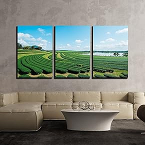 3 Piece Canvas Wall Art - Tea Plantation with Blue Sky and Cloud. - Modern Home Art Stretched and Framed Ready to Hang - 16"x24"x3 Panels