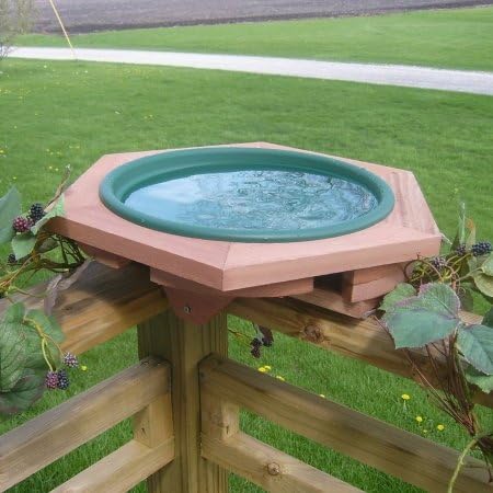 Looker Bb10 Mini Deck Outdoor Bird Bath - Green