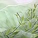 Comemall Tulle Catkins Door Balcony Curtain Panel Sheer Scarfs Window Screens Valance