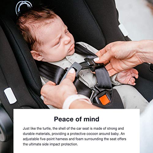 bugaboo 5 point harness