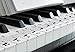 56 Piano Stickers Notes for Keyboard and Piano Music Practice Tools for Musicians and Pianists