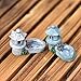 Danmu Mini Resin Pavilion with A Small Pond Miniature House Fairy Garden Micro Landscape Home Garden Decoration Plant Pots Bonsai Craft Decor
