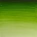 Winsor & Newton Professional Water Colour Paint, 0.17-oz Tube, Permanent Sap Green