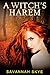 A Witch's Harem: Reverse Harem Fantasy