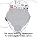 Cheeky Chompers Essentials Neckerchew Teething Bib, Grey, One Size