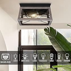 Pia Ricco Flush Mount Ceiling Light